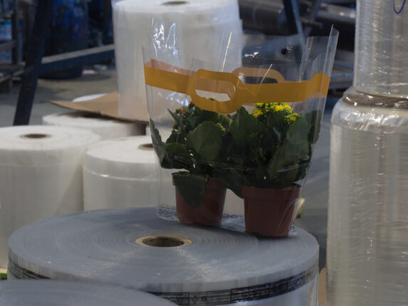 As Plastik, Avrupa Çiçek Ambalajı Pazarında Liderlik Koltuğuna Oturdu