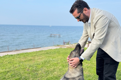 AK Parti Osmangazi İlçe Başkanı Kurtuluş’tan Belediyeye sert tepki: Bu vahşeti asla kabul etmiyoruz