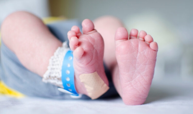 “TOPUK KANI REDDİ SEBEBİ İLE VERİLEN SAVCILIK İDARİ PARA CEZASI KARARINA KARŞI İTİRAZ DİLEKÇESİ ÖRNEĞİ”