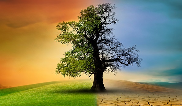 Selma Çalışır yazdı; Türkiye İklim Kanunu: Kazanımlar ve Kaybettiklerimiz