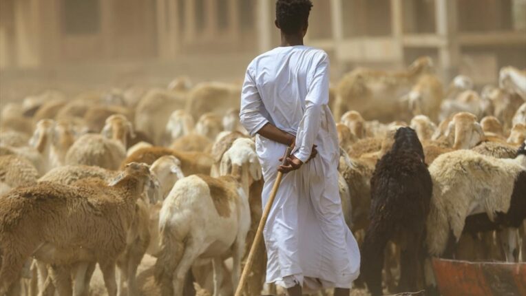 Fair World Ekibinden Kurban Bayramı Öncesi Sudan’a Anlamlı Hazırlık