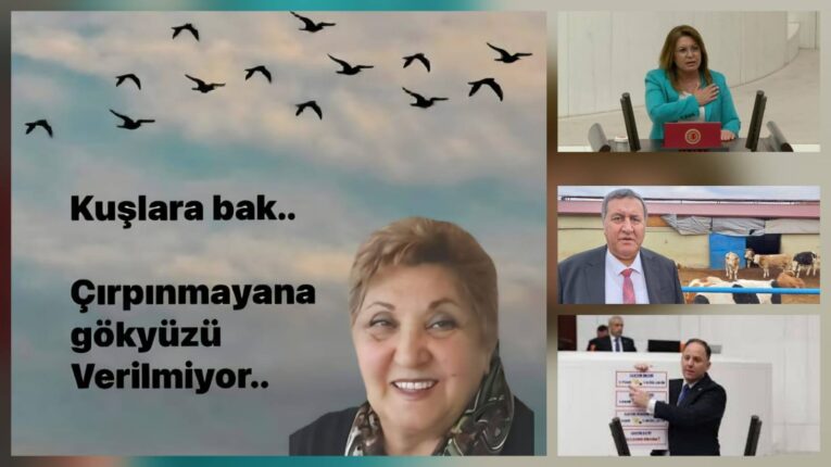 Güler Buğday yazdı; TBMM’DEKİ HALKIN GERÇEK VEKİLLERİ GURUR VE ONURUMUZDUR.