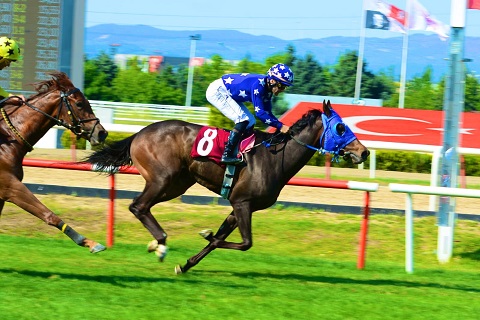 Jandarma Kupası Koşusu Bursa’da Coşkuyla Gerçekleşti