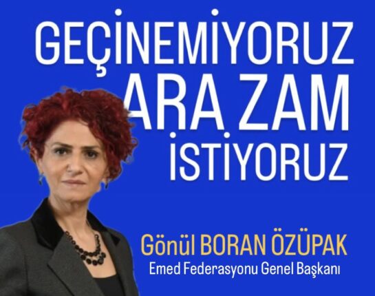 Gönül Boran Özüpak: “Gelsin Seçim, Derdimiz Geçim!”