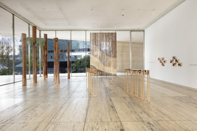 Aslı Çavuşoğlu’nun “TunState” Adlı Kişisel Sergisi 17 Mayıs’ta İMALAT-HANE’de Açılıyor