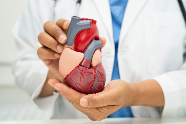 İnsanın Kalbi Büyür mü?