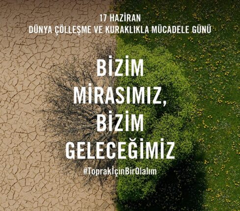 Dünya Çölleşme ve Kuraklıkla Mücadele Günü: Geleceğimiz Kuruyor mu?