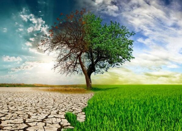 Güler Buğday yazdı; ÜLKEYİ, ÇEVREYİ, DOĞAYI, DEMOKRASİYİ VE HALKIMIZI KORUMAK İNSAN OLMAKTIR.