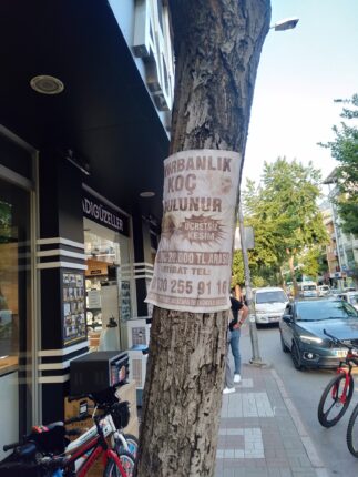 “Reklam Bitti, Afişler Kaldı: Çevre Kirliliğine Sessiz Kalma!”