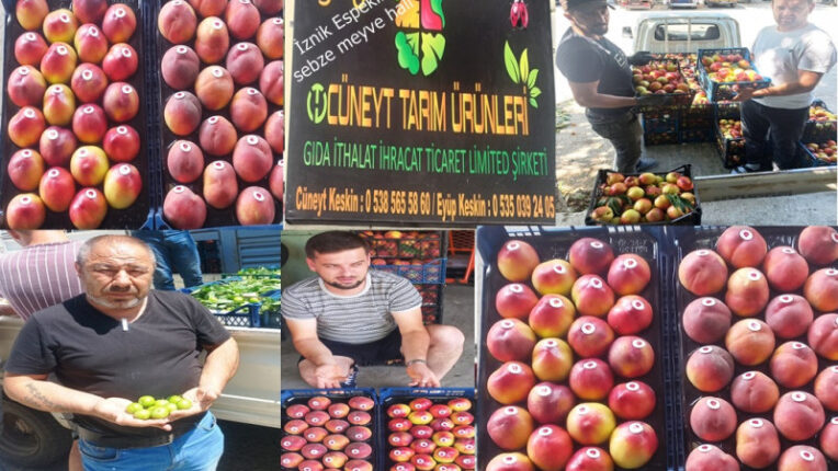 MEYVE SEBZE AMBARIMIZ OLAN İLÇEDEYİZ.