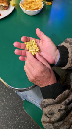 Altın Peşinde: Kurtarma Operasyonu