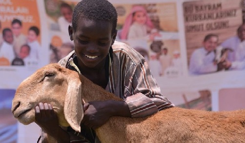 Bursa Konyalılar Derneği’nden Somali’ye Kurban Kardeşliği