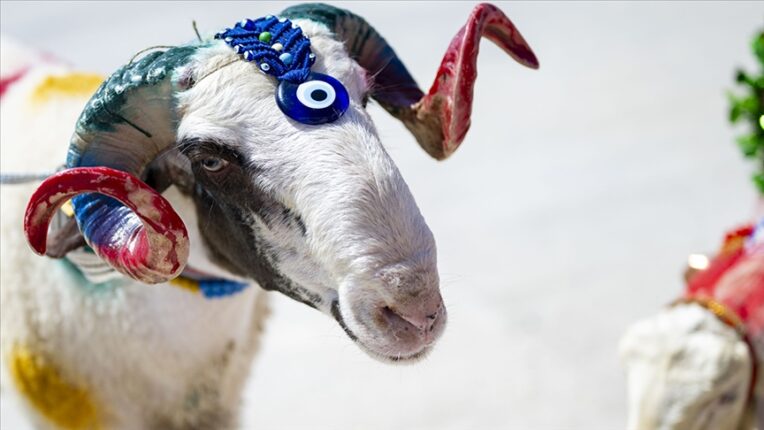 Kurban Bayramı’nın Türk Milleti İçin Anlamı ve Değeri