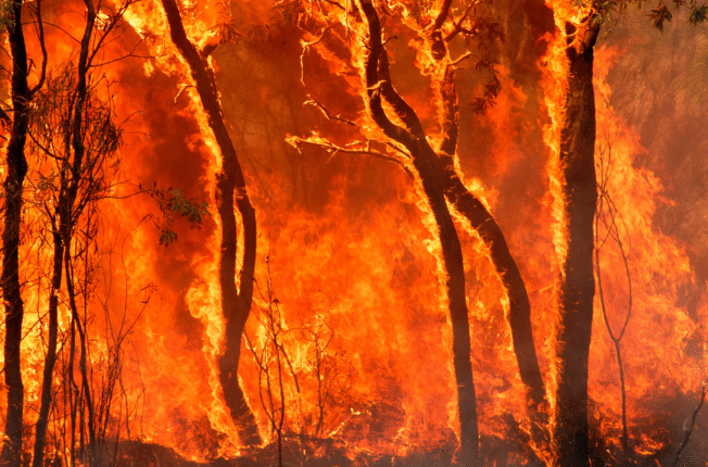 “Türkiye Sahipsiz Değildir!”