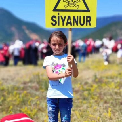 Sessiz Çığlık: Koyulhisar’ın Vicdanı Uyanmalı