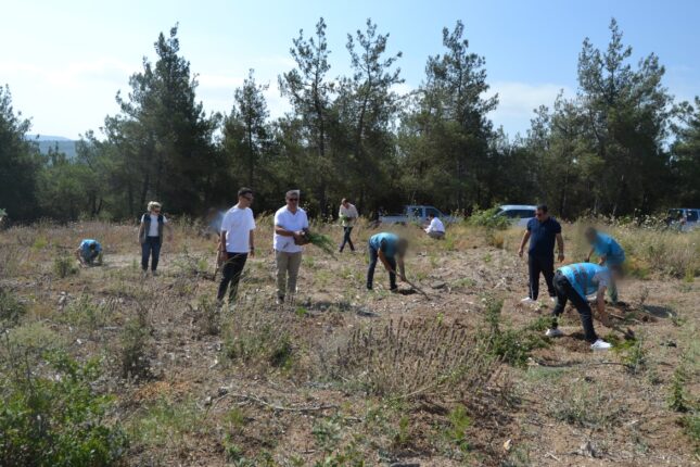 Bursa’da 15 Temmuz Şehitleri İçin Anlamlı Fidan Dikimi: Geçmişe Saygı, Geleceğe Umut