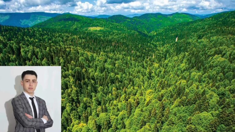 “Ormanları Yakmıyor, Yeniden Yeşertiyoruz!”