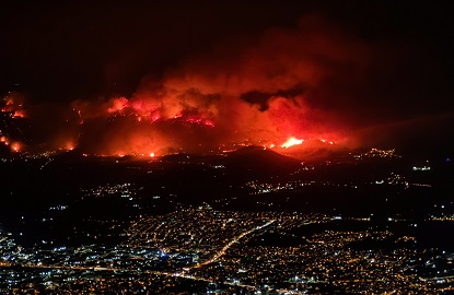 Yanan Ağaçlar Değil, Ortak Vicdanımız!