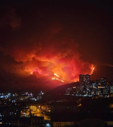 “Ormanlar Kül Oluyor!”