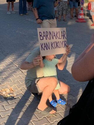 Dikili’de Hayvan Hakları İçin Sessiz Çığlık: “ARRES ve Diğer Canlar İçin Adalet İstiyoruz”