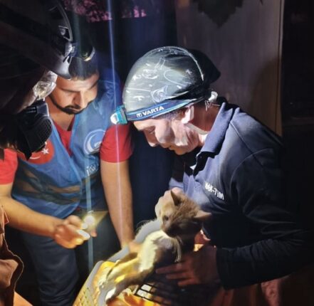 Ülkü Ocakları Yangın Bölgelerinde Ön Saflarda: “Yeşil Vatan İçin Canla Başla Mücadele”