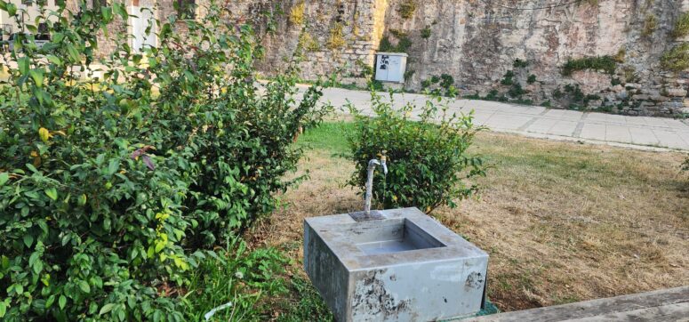 Deli Ayten Parkı’nda Su Rezaleti: Çeşmeler Boşa Akıyor, Yetkili Seyrediyor!