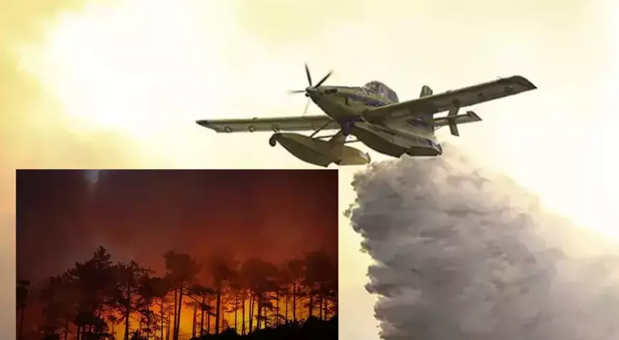 Kıraç Toprakların Çocuğundan Bursa’ya Yanan Ormanlar İçin Feryat: “Yeşilin Yası, Külün Acısı Bitmedi!”