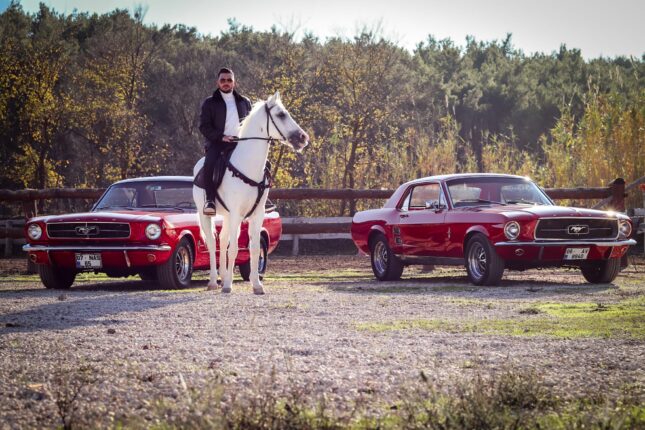 Osman Kölemen Kimdir? Kamu Hizmeti ve Kültürel Değerlere Adanmış Bir Hayat