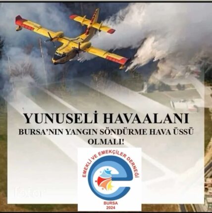 Türkiye’de Ormanların Sorumluluğu Kimde? Belediyeler Bu İşin Neresinde?