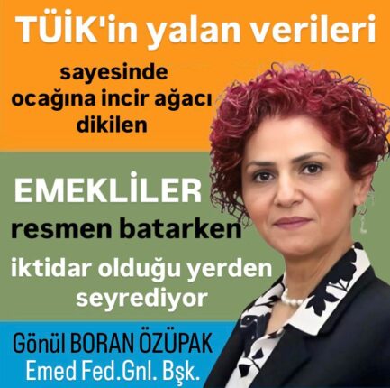 “Emekli TÜİK Verilerine Güvenmiyor” – Gönül Boran Özüpak’tan Sert Tepki!