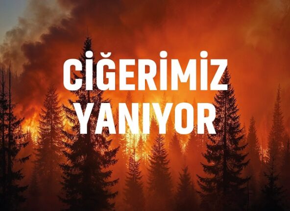 “Ciğerlerimizde Yanıyor, Ekonomimiz de!”