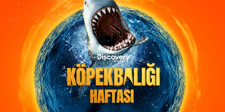 Köpekbalığı Haftası Heyecanı Discovery’de Başlıyor!