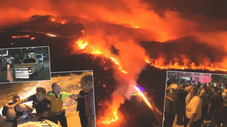 Bursa’da Orman Yangınıyla İlgili Şok Gelişme