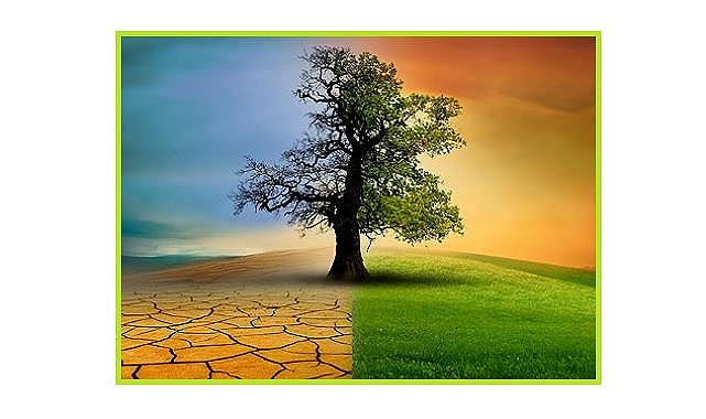 “İklim Yasası Yeşil Maskeli Bir Emperyalizm Aygıtıdır”