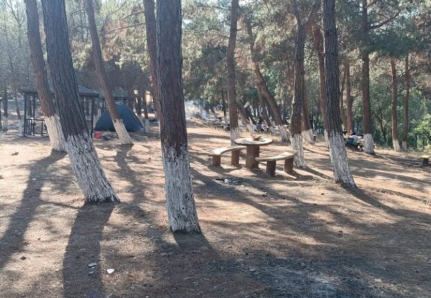 Gemlik Küçükkumla’da Mangal Skandalı!