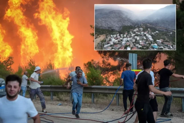 Orman Yangınları Karşısında Artık Sessiz Kalmayacağız!