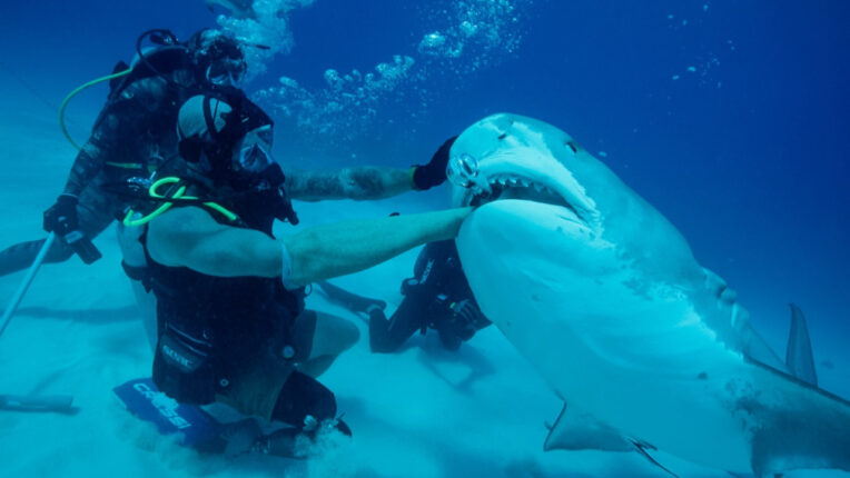 Ölümcül Isırık  (Deadliest Bite)