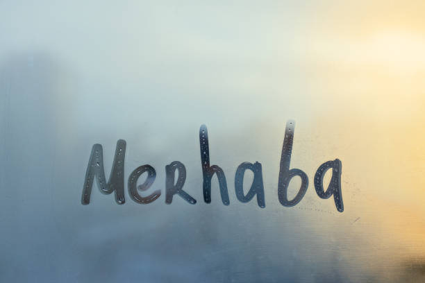 Bursa Vatan Medya Grubu Köşe Yazarı Bahri Palas’tan Gönül Dolu Bir “Merhaba”