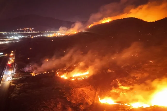 Askıda İzmir’den Sert Çıkış: “Ormanlar Yanmıyor, Umutlarımız Kül Oluyor! Herkes Harekete Geçmeli!”