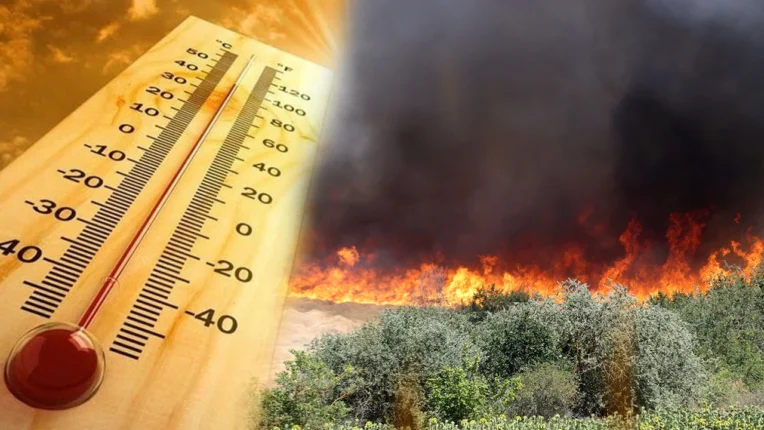 Sıcaklık Yükseliyor, Risk Büyüyor: En Hassaslarımız İçin Alarm Zamanı
