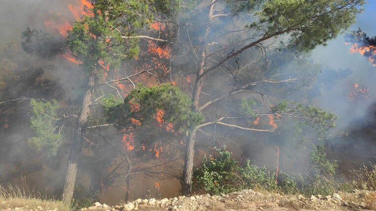 Ülkemize Kurulan Sinsi Tuzak: ÇAM