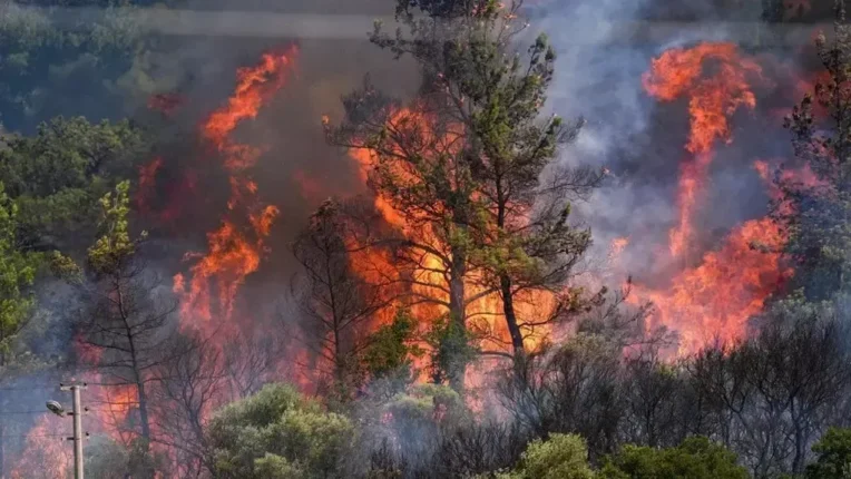 “Bu Sadece Yangın Değil, Ekolojik Yıkım!”