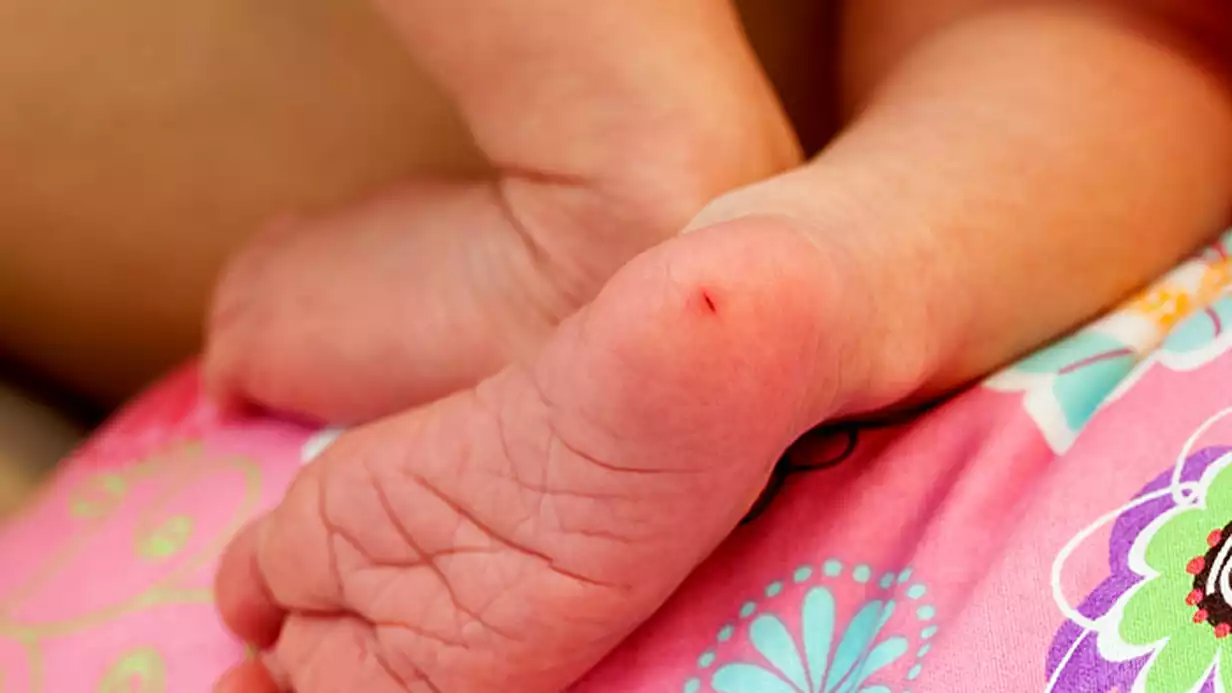 “Gerçeklerle Yüzleşmekten Korkan Bir Toplum: Topuk Kanı, Aşılar ve Sessiz Sömürgecilik”