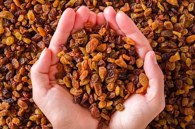 “TARİŞ, BELİRLEDİĞİ ÇEKİRDEKSİZ KURU ÜZÜM AVANS ALIM FİYATINI GÖZDEN GEÇİRMESİ GEREKİR”