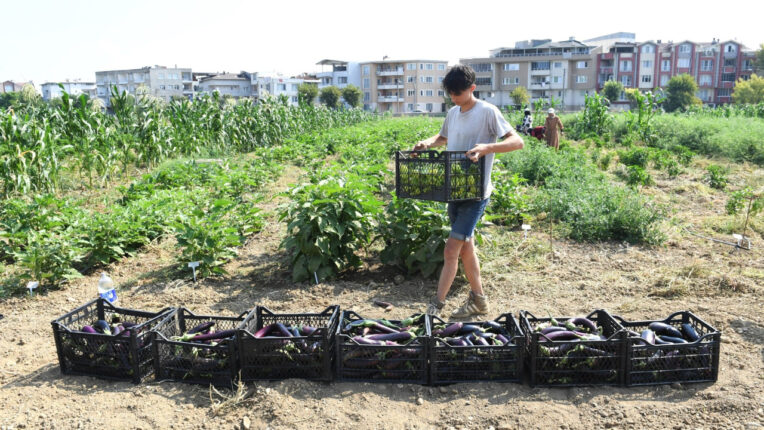 Osmangazi’de Topraktan Sofraya Lezzet Yolculuğu: Kent Lokantası’nda Yerel Tohumdan Doğan Tatlar