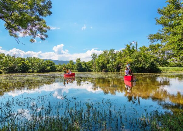 “Doğanın İncisi Göz Göre Göre Çürümeye Terk Ediliyor!”
