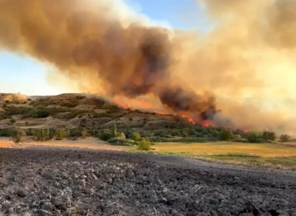 ADIYAMAN ALEVLERLE SINANIYOR: AYNI GÜN FARKLI NOKTALARDA YANGIN ALARMI