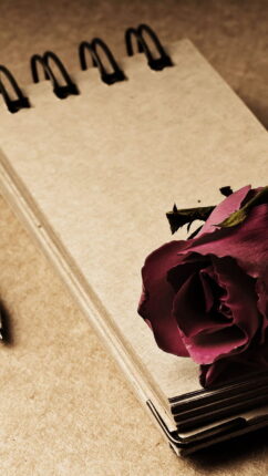 Gül Dikenle Büyür, Umut Acının Bağrından Filizlenir