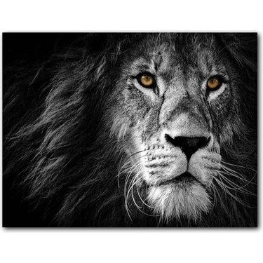 Yalnızlık ve Taştan Aslanlar