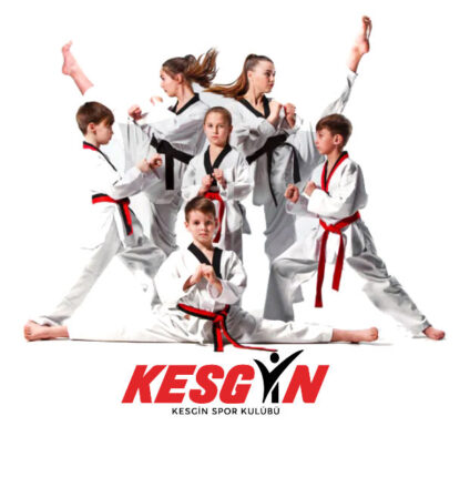 KICKBOKS’TA ZİRVE KESGİN SPOR’UN!